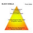 Mancera Black Vanilla Eau De Parfum 120ml