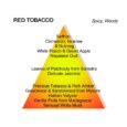 Mancera Red Tobacco Eau De Parfum 120ml