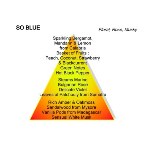 Mancera So Blue Eau De Parfum 120ml 2