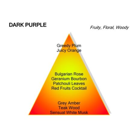 Montale Dark Purple Eau De Parfum 100ml 2
