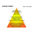Montale Intense Cherry Eau De Parfum 100ml