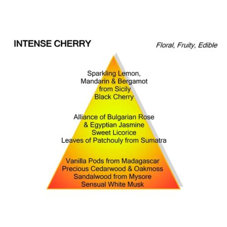 Montale Intense Cherry Eau De Parfum 100ml 2