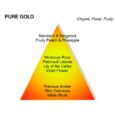 Montale Pure Gold Eau De Parfum 100ml