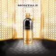 Montale So Amber Eau De Parfum 100ml