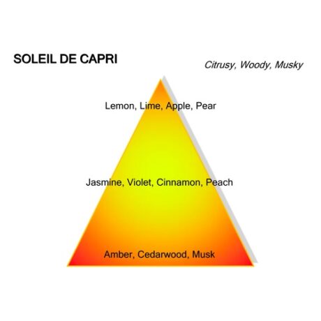 Montale Soleil de Capri Eau De Parfum 100ml 2