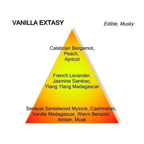 Montale Vanilla Extasy Eau De Parfum 100ml 2