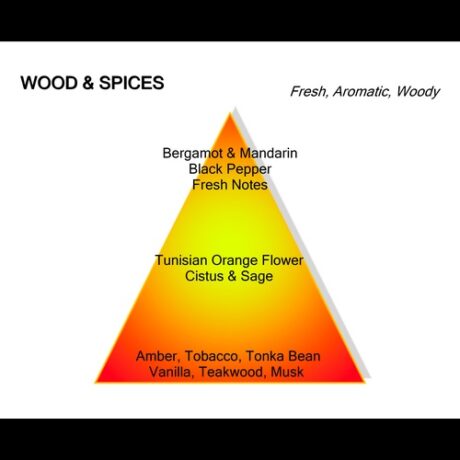 Montale Wood & Spices Eau De Parfum 100ml 2