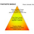 Fantastic Basilic