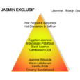 MANCERA JASMIN EXCLUSIF EDP 120ML