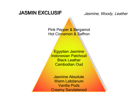 MANCERA JASMIN EXCLUSIF EDP 120ML (1)
