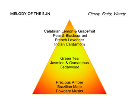 MANCERA MELODY OF THE SUN EDP 120ML (2)