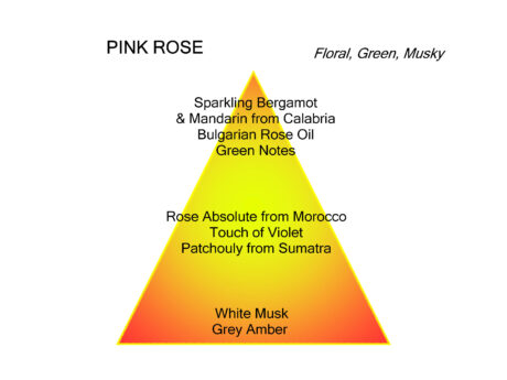 30416 pink rose.odp