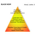 Mancera Black Noir Eau de Parfum 120ml