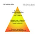 Mancera Wild Cherry Eau de Parfum 120ml