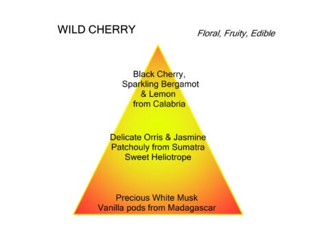 26202 wild cherry.odp