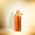 Montale Orange Aoud Eau De Parfum 100ML